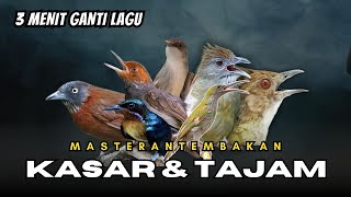 Masteran Kombinasi Tembakan Kasar dan Tajam