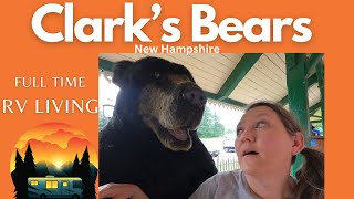 Clark's Bears in Lincoln New Hampshire - Amazing !