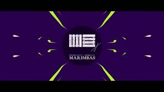 Stephan Mangloo & Antwan Dago  - Marimbas (Original mix)💥