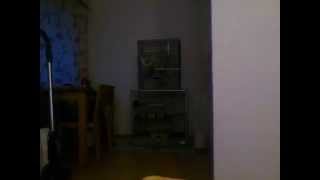 Stekom watching M:I-2 rotating one hour time lapse