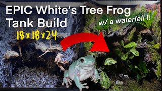 White’s Tree Frog Bioactive Vivarium Build! 18x18x24 with waterfall- Step by Step