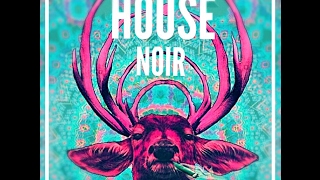 DUBSTEP Beats | HOUSE NOIR | Tribute to DEADMAU5 | ALEX Edit