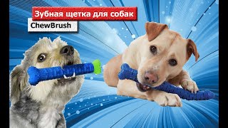 Зубная щетка для собак ChewBrush