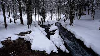 Relaxing Stream Ambience Sounds with Snow Falling and Water Running