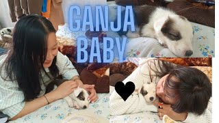 they are so adorable ❣️
