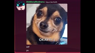 Surge Voiid Chronicles charted by @perroxd Sans collection V1