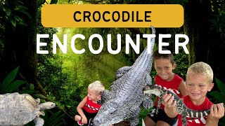 VISIT CROCODILE ENCOUNTER WITH US!!! Coolest experience ever 🐊