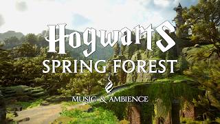 Spring Forest at Hogwarts | Gentle Spring Music & Peaceful Hogwarts Legacy Ambience
