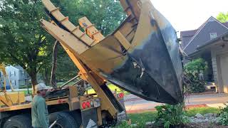 How to Plant Trees in 10 mins 🌲 🌳 Handyman & Home Repair