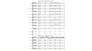 Piano Concerto No. 1, III: Verzweiflung (Op. 11) | Original Composition