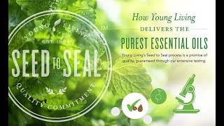 Young Living's Seed to Seal