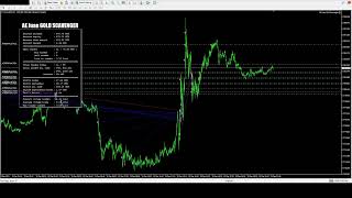 AE Juan Expert Advisor Live Stream