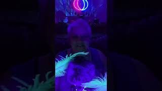 ASMR TikTok Livestream 27-2: 11-04-2022