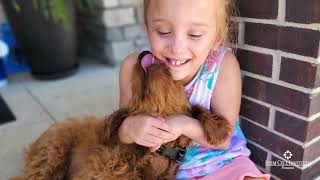 How Stem Cells for Cerebral Palsy improved Nora's Quality of Life