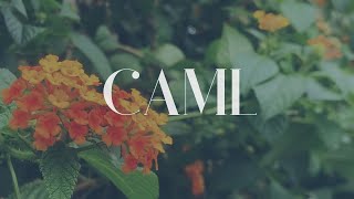 CALM Relaxation and Meditation, Calming Ethereal Ambient Music