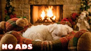 12 HOURS of Calming Music For Dogs🐕‍🦺 Separation Anxiety Relief & Healing Sleep for Pets Home Alone