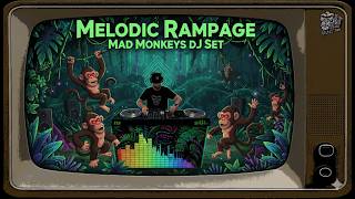Analog Bananas: Melodic Techno Flow