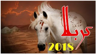 Karbala 2018 Video | Roza Imam Hussain a.s Arbaein 2018 | Credit : Karwan e fauj Hussani | 3D Video