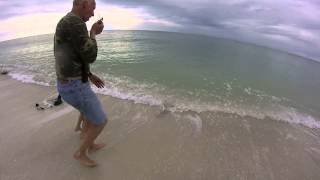 Thompson shark catch 2