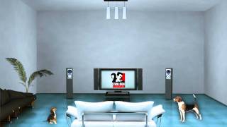 New Logo Animation - Two Box Designs