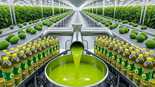 Inside the Avocado Oil Factory - How Avocado Oil Is Made 🥑 ( Full Factory Process )