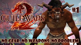 Guild Wars 2 - No Gear Challenge - Levelling a Character Without Gear