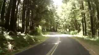 Cycling through Siuslaw National Forest