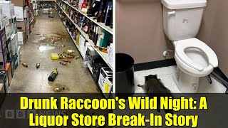 Drunk Raccoon's Wild Night: A Liquor Store Break-In Story