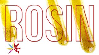 SQUISHED: Critical Mass Rosin⚖️⚙️