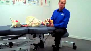 COMFORTCRAFT DAVIDKENT FACEUP1