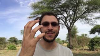 Final thoughts on Tarangire - vlog 5