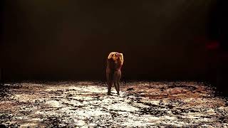 "Dyad" (wide shot) Conflux Dance Theater