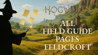 Hogwarts Legacy – Feldcroft Field Guide Pages (Feldcroft, Catacombs & Surroundings)