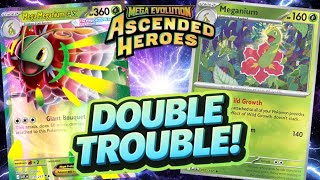 Mega Meganium Hits for ABSURD Damage… This Deck Is Insane