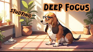 🌟 Concentration Boost | Deep Focus Music for Studying & Working | Deep Focus Music