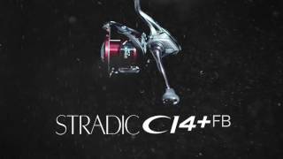 Stradic 2016