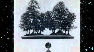 Trasvorder - Hormigas de neon - 07