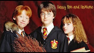 Harry Potter and the Philosopher Stone   (Harry meets Ron and Hermione)
