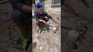 Final Reveal: DIY Garden Glow-Up 🌹