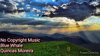 Blue Whale/Quincas Moreira/No Copyright Music