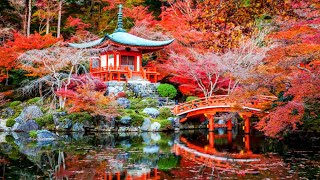Breathe ~ Kelvin Nugen ~ Relaxing/ Soothing Piano Solo