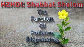 Shabbat Live -The Function of Patience (Hupomone)