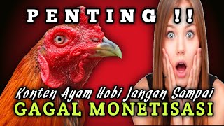 IMPORTANT!! Hobby Chicken Content Must Not Fail to Monetize