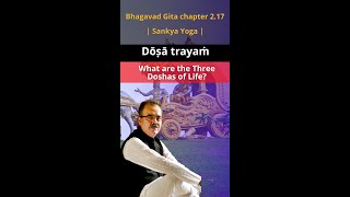 Dōṣā trayaṁ - What are the Three Doshas of Life?