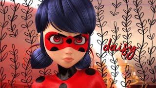 Ladybug | Daisy