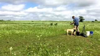 Camp Chuck - Final Exam - 2.5 Months