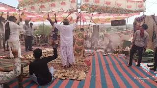 Jay Ramadhani Rama Mandal...Rajpara.....SK STUDIO CHOTILA