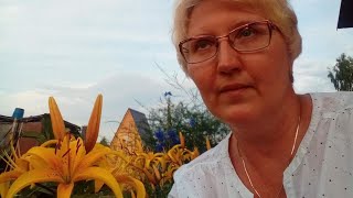 лилии в саду, спасаю клематис/ формирую ель из леса