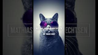 Mathias Vilain Albrechtsen - Mr. Magic Dude