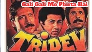 Gali Gali Me Phirta Hai  (TRIDEV)
